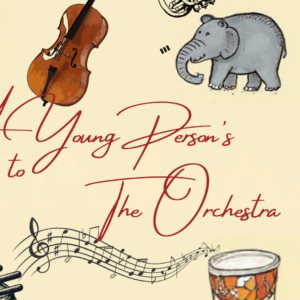 Wells Cathedral School Symphony Orchestra