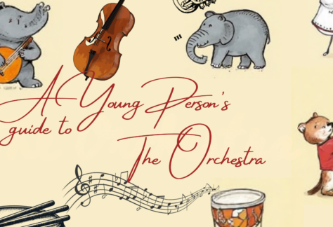 Wells Cathedral School Symphony Orchestra