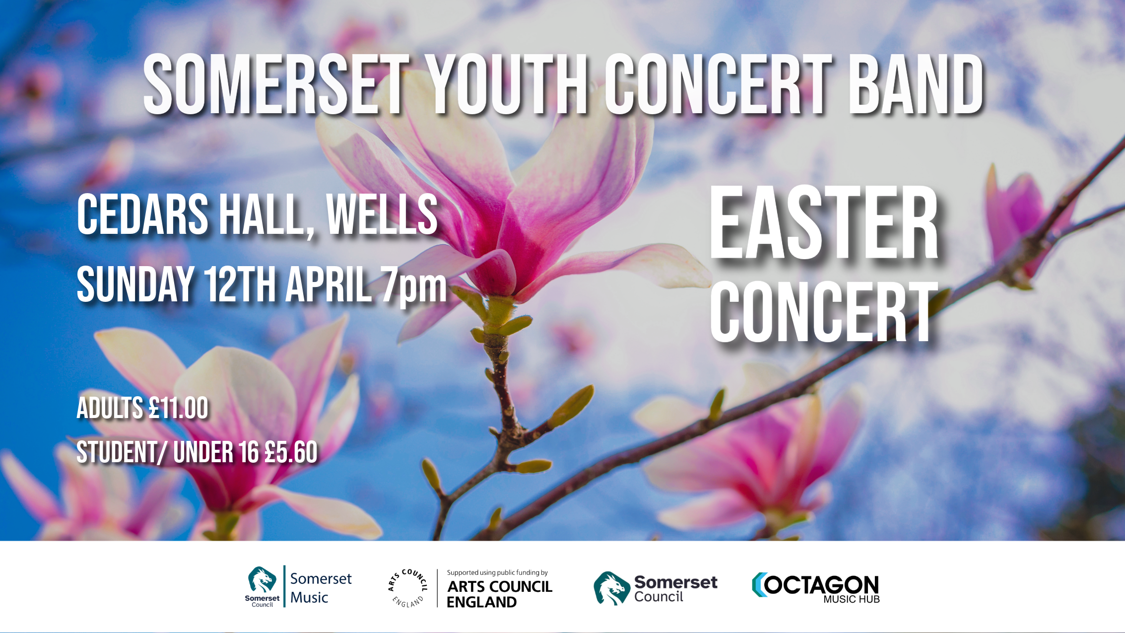 Somerset Youth Concert Band